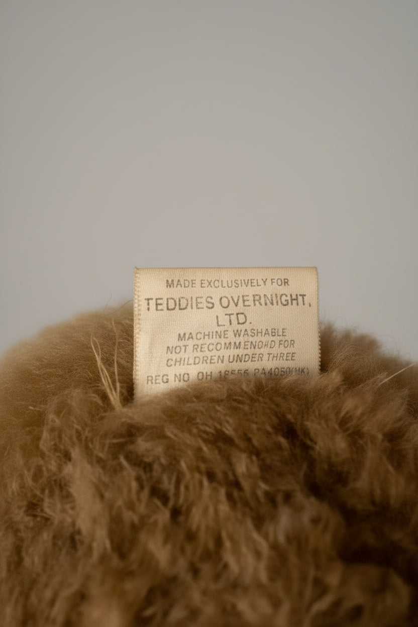 Close-up of a teddy bear with a label on a textured background