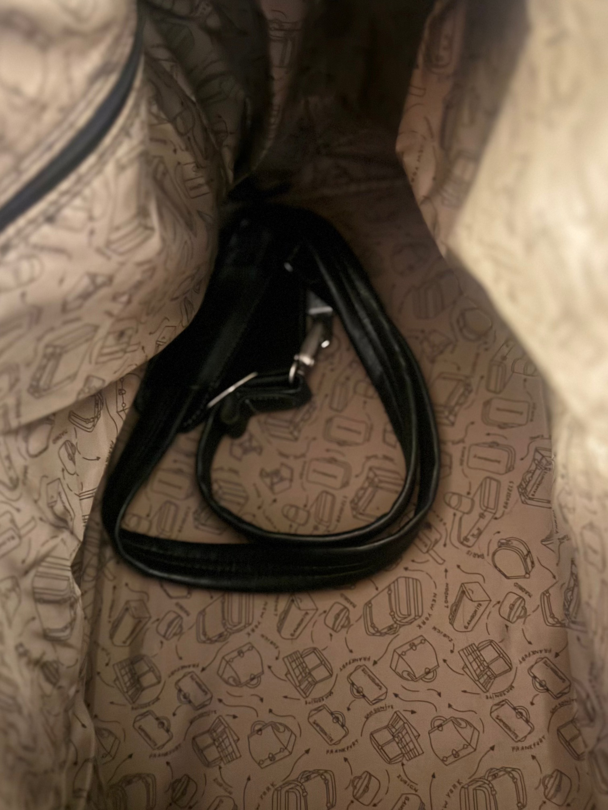 Close-up of a patterned bag interior with a black strap.